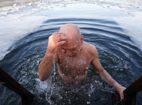 Крен моржовый — почему ледяная купель больше привлекает пожилых Крен моржовый — почему ледяная купель больше привлекает пожилых