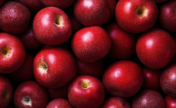 Гастроэнтеролог назвала популярные продукты, провоцирующие изжогу