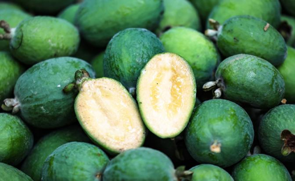 Биотехнолог: Эта ягода обеспечит суточный запас йода Биотехнолог: Эта ягода обеспечит суточный запас йода