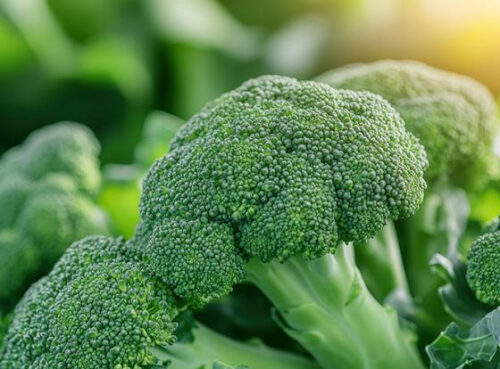 Россиянам назвали лучшие продукты, очищающие кровь