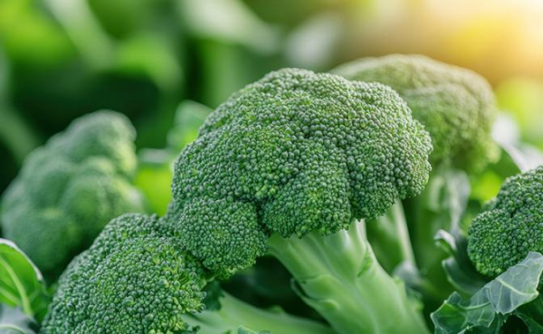 Россиянам назвали лучшие продукты, очищающие кровь