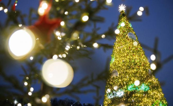 Малышева предупредила о неожиданной опасности популярного новогоднего украшения