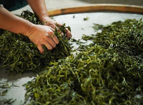 Нарколог объяснила, чем опасно «чайное опьянение» Нарколог объяснила, чем опасно «чайное опьянение»