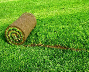 Благоустройство и озеленение участка под ключ в Краснодаре: Создаем райский уголок на южной земле