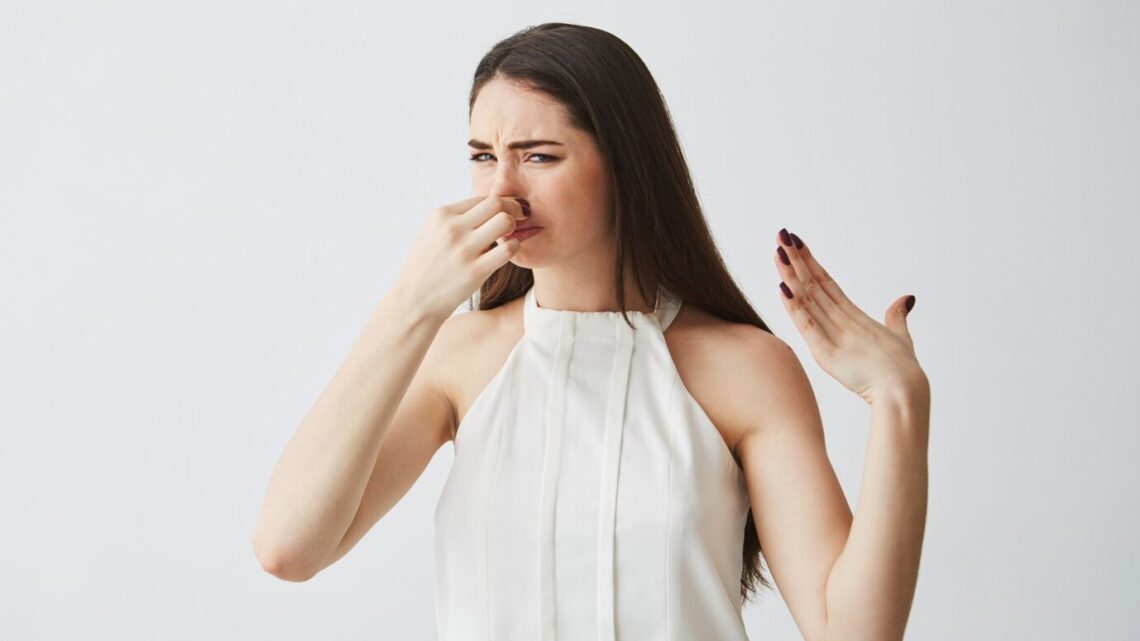 Запах идет от соседей: 4 способа борьбы с чужими неприятными ароматами в своей квартире