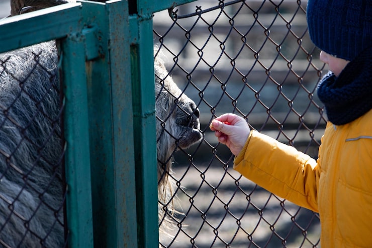 Монтаж забора из сетки рабицы на столбы из профтрубы