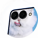 Все самое интересное в Telegram-канале!