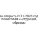 Как открыть ИП в 2026 году: пошаговая инструкция, образцы