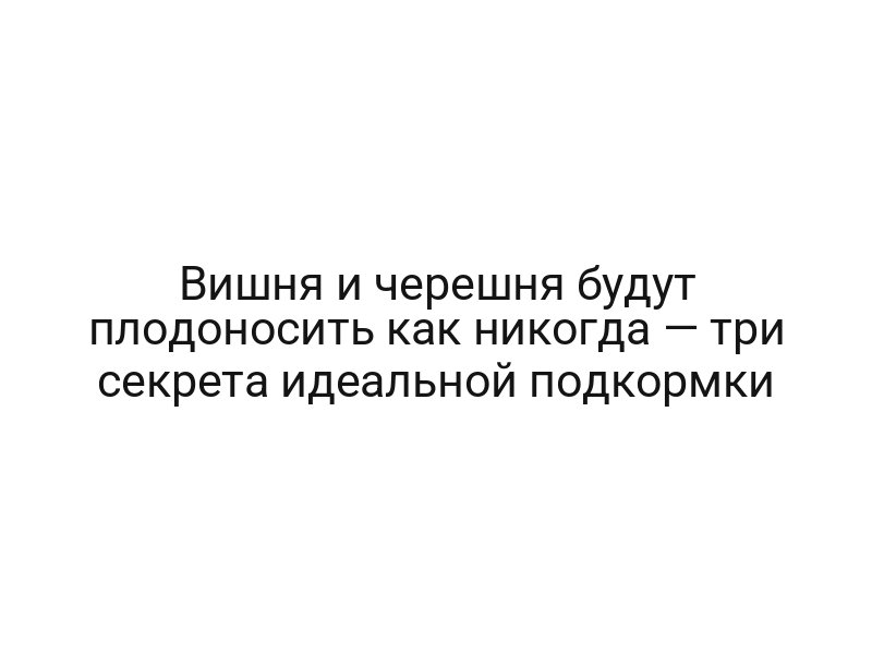 Вишня и черешня будут плодоносить как никогда — три секрета идеальной подкормки