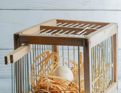 Как сделать клетку для кур из сетки и дерева своими руками