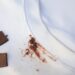 Как отстирать пятна от засохшего шоколада с белой рубашки нашатырем